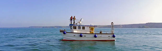 Atlantic Diver