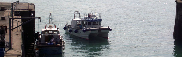 Latest news from Atlantic Diver
