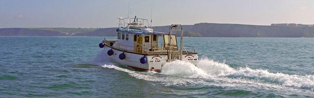 Sea safaris on the Atlantic Diver
